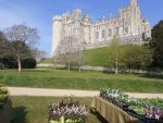 Shows/Plant Fairs