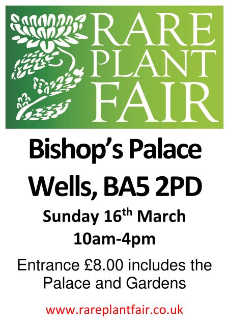 Upcoming -  Rare Plant Fair